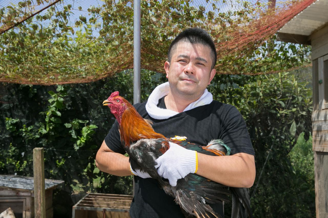 Sazareishi Takashima Hotell Nobeoka Exteriör bild